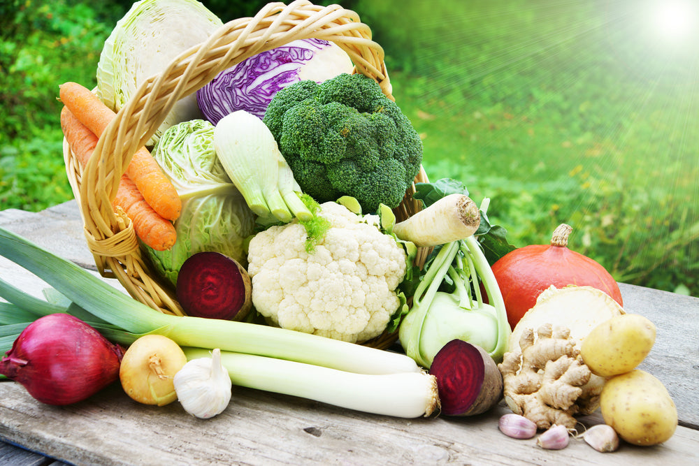 Winter Harvesting Guide for New Zealand: Planting and Growing Vegetables