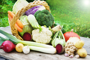 Winter Harvesting Guide for New Zealand: Planting and Growing Vegetables