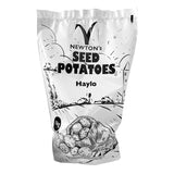 Haylo