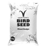 Mixed Budgie