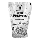Red Rascal