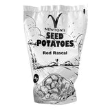 Red Rascal