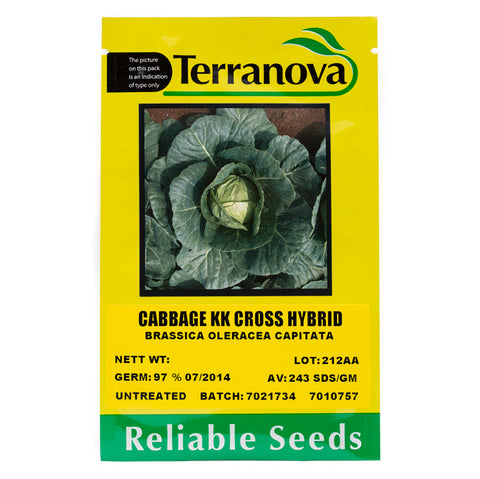 Cabbage - KK Cross Hybrid