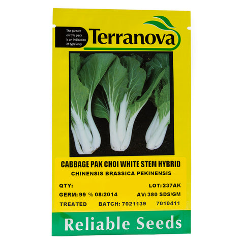 Cabbage Pak Choi White Stem Hybrid