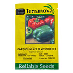 Capsicum - Yolo Wonder B