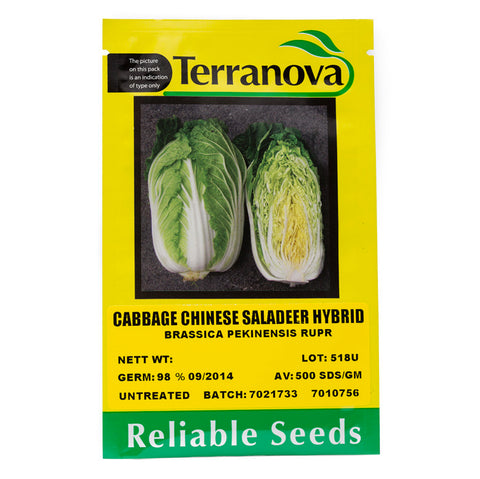 Chinese Cabbage - Saladeer Hybrid