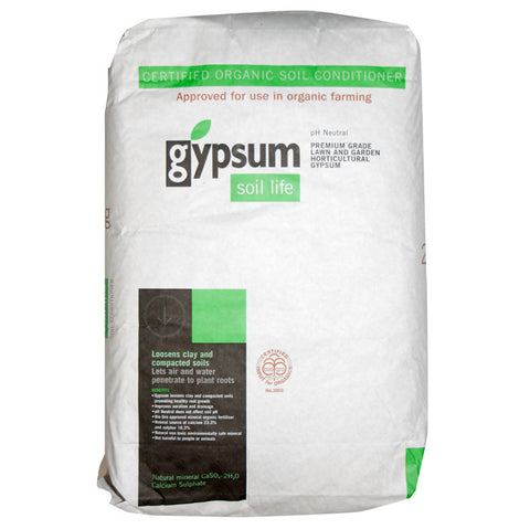 Gypsum