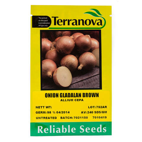 Onion - Gladalan Brown