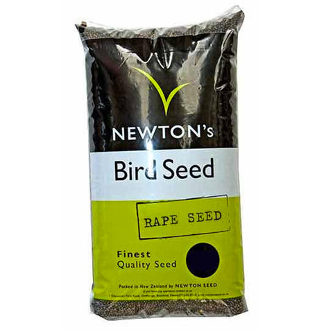 Rape Seed