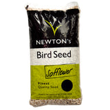 Safflower Seed