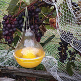 Wasp Dome Refillable Trap